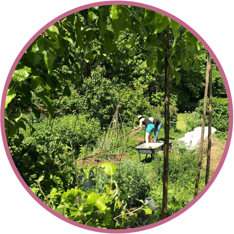 Le jardin en mouvement(2)
